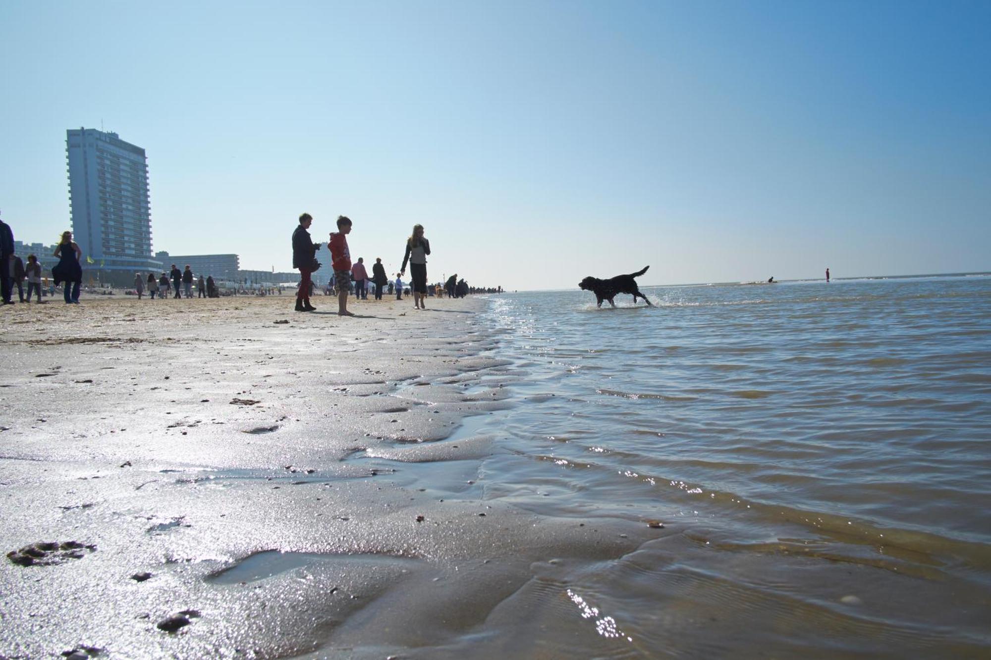 Apartament Familie Zwinkels Zandvoort Zewnętrze zdjęcie